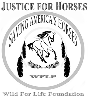 Justice for Horses and Burros